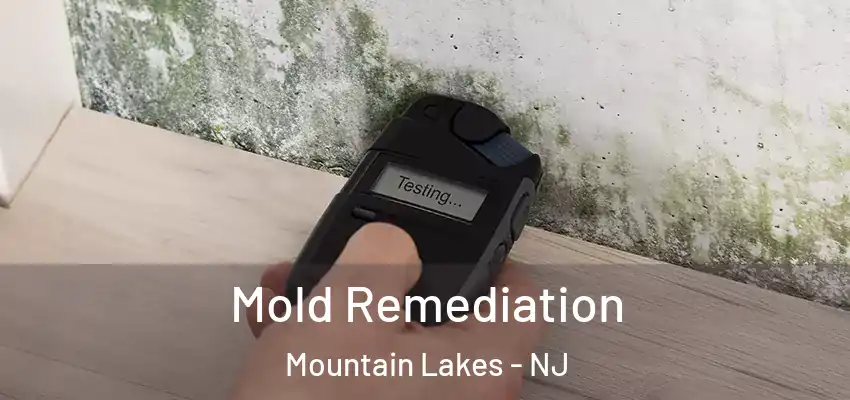Mold Remediation Mountain Lakes - NJ