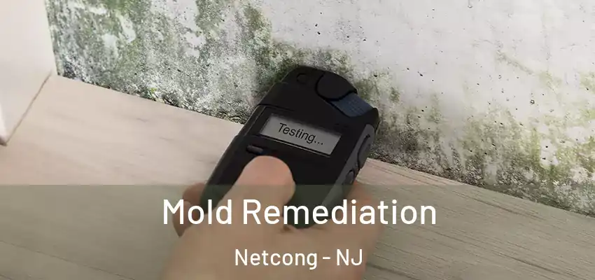  Mold Remediation Netcong - NJ