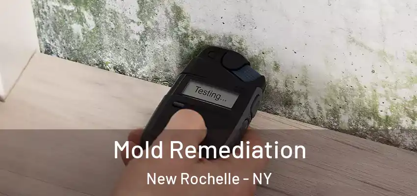 Mold Remediation New Rochelle - NY