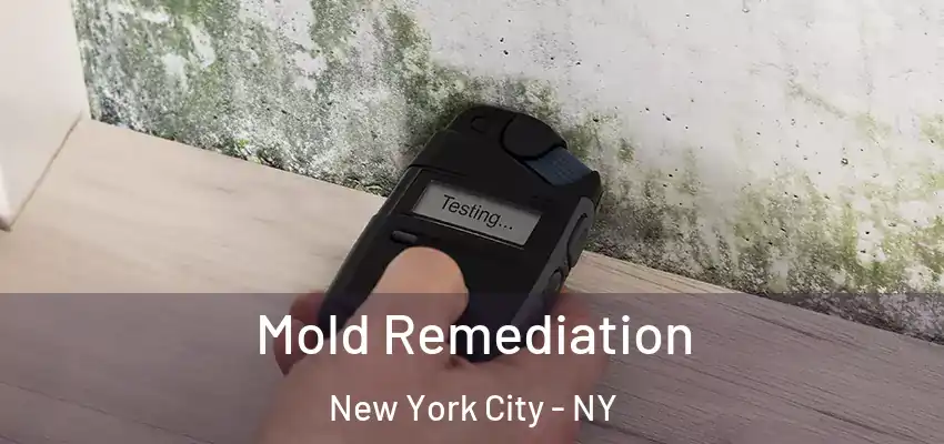 Mold Remediation New York City - NY