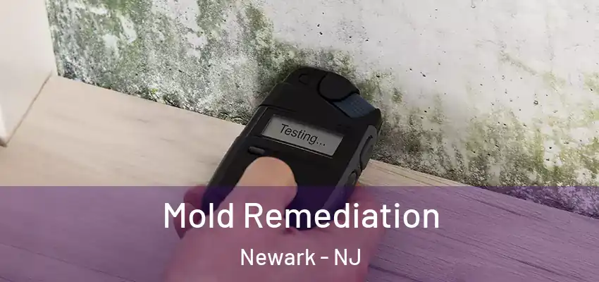  Mold Remediation Newark - NJ