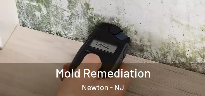Mold Remediation Newton - NJ