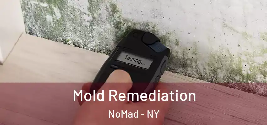  Mold Remediation NoMad - NY