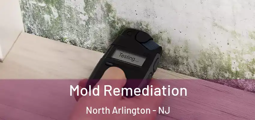 Mold Remediation North Arlington - NJ