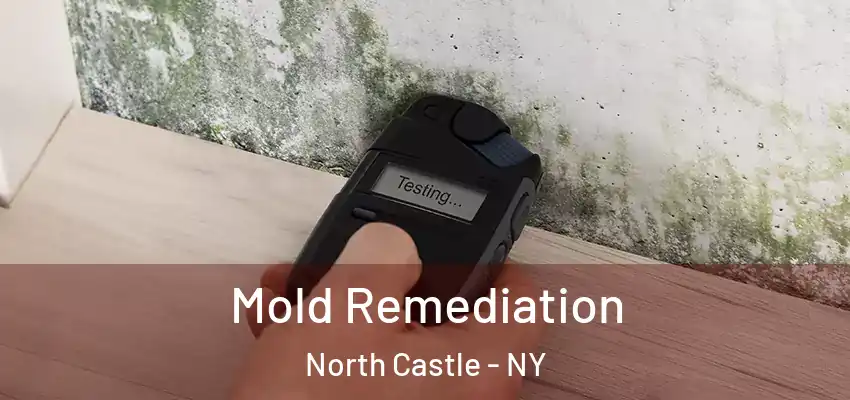 Mold Remediation North Castle - NY