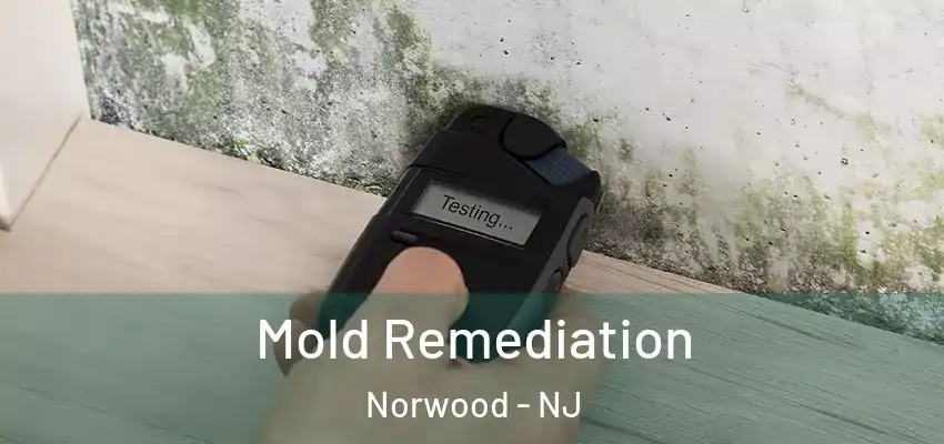Mold Remediation Norwood - NJ