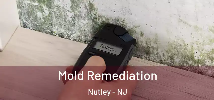  Mold Remediation Nutley - NJ