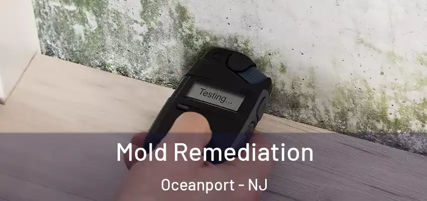 Mold Remediation Oceanport - NJ