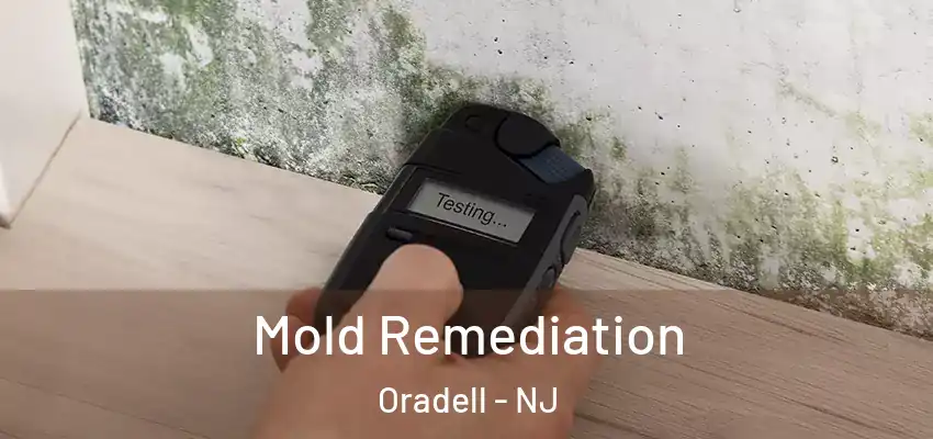 Mold Remediation Oradell - NJ