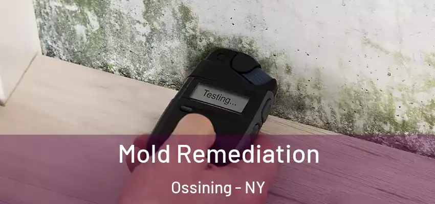 Mold Remediation Ossining - NY