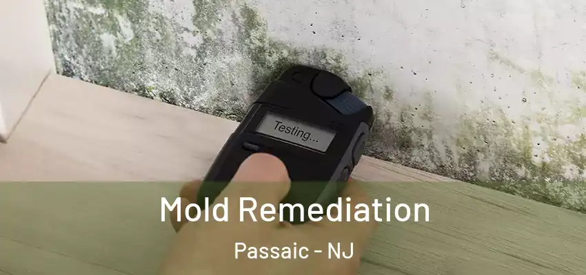 Mold Remediation Passaic - NJ
