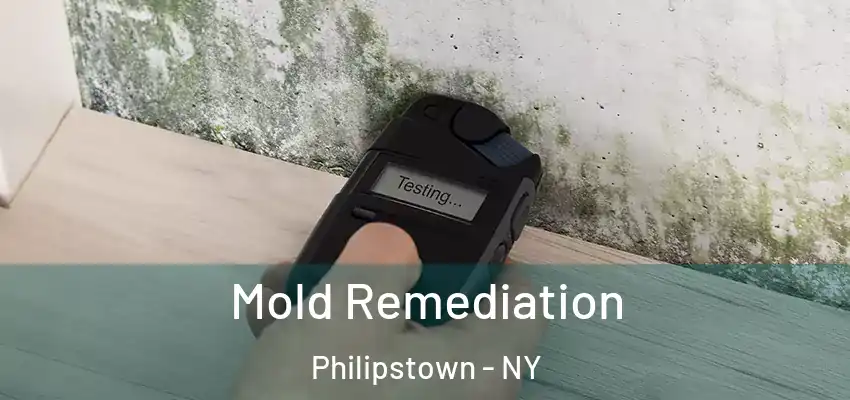  Mold Remediation Philipstown - NY