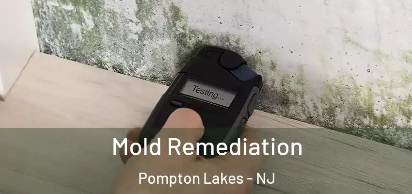 Mold Remediation Pompton Lakes - NJ