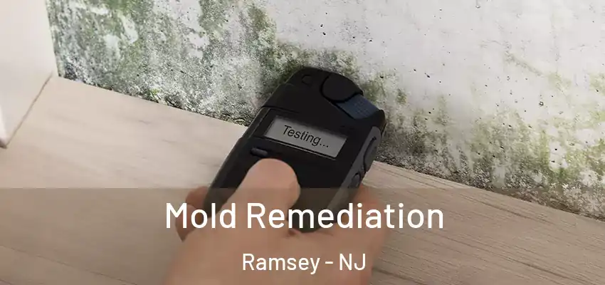  Mold Remediation Ramsey - NJ