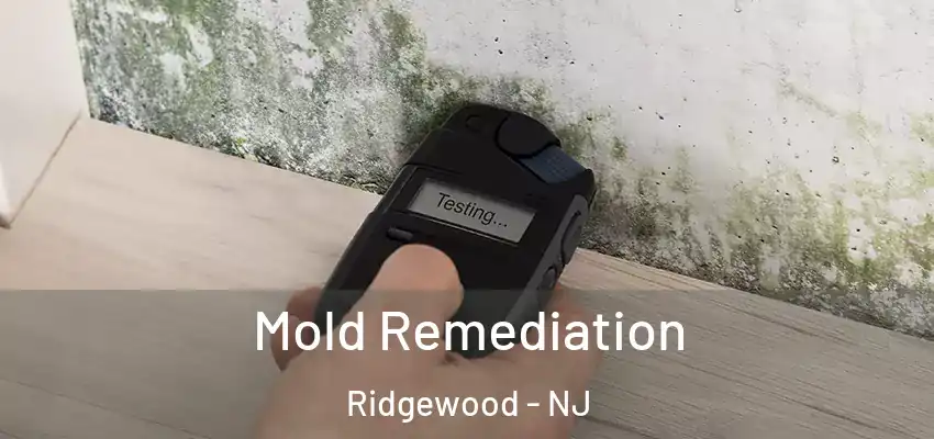  Mold Remediation Ridgewood - NJ