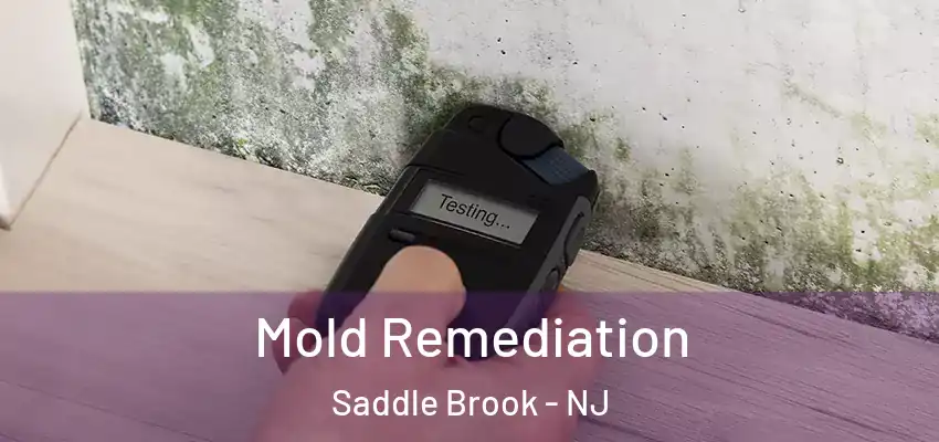 Mold Remediation Saddle Brook - NJ