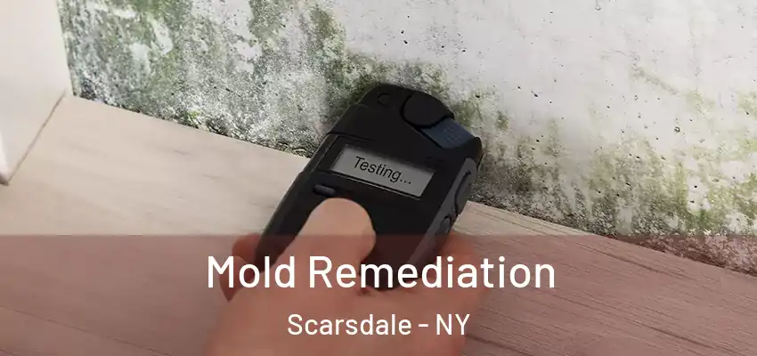 Mold Remediation Scarsdale - NY