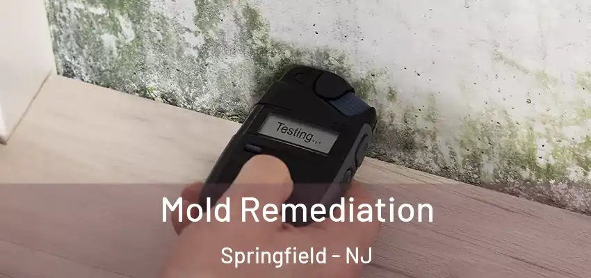 Mold Remediation Springfield - NJ