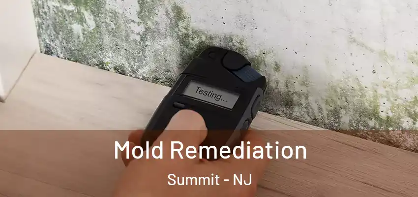 Mold Remediation Summit - NJ