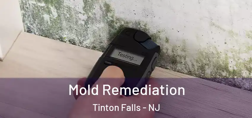  Mold Remediation Tinton Falls - NJ