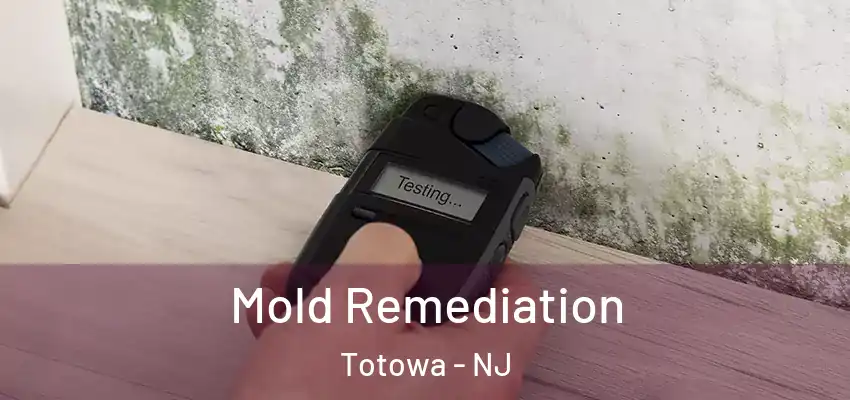 Mold Remediation Totowa - NJ