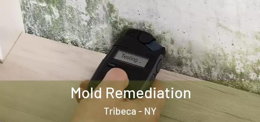 Mold Remediation Tribeca - NY