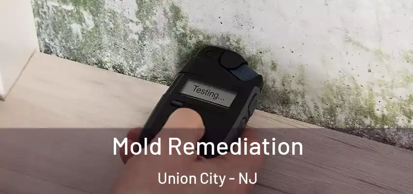 Mold Remediation Union City - NJ