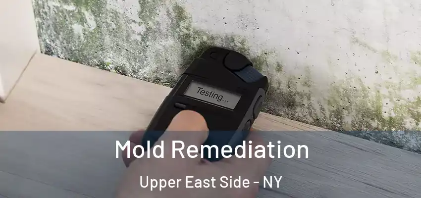  Mold Remediation Upper East Side - NY