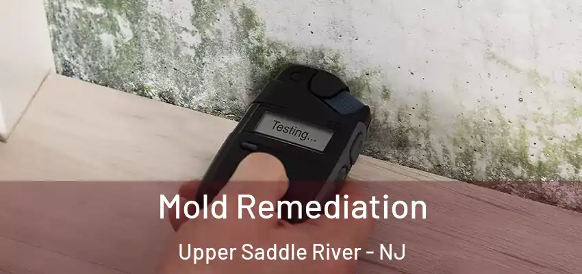 Mold Remediation Upper Saddle River - NJ