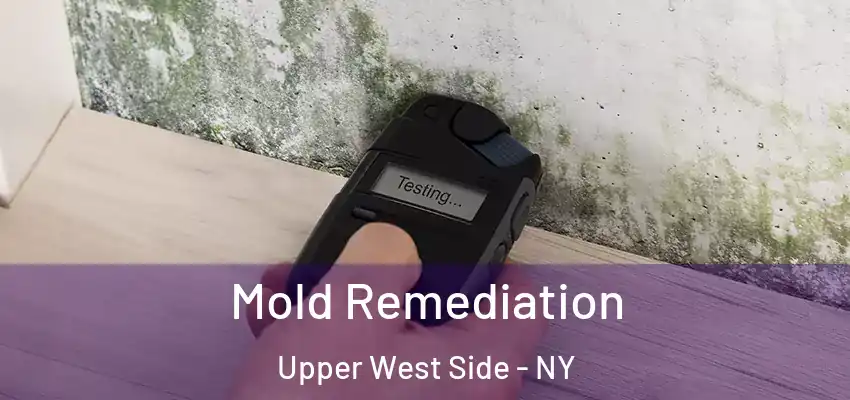  Mold Remediation Upper West Side - NY
