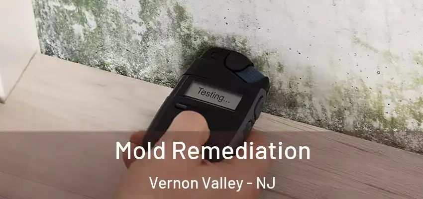 Mold Remediation Vernon Valley - NJ