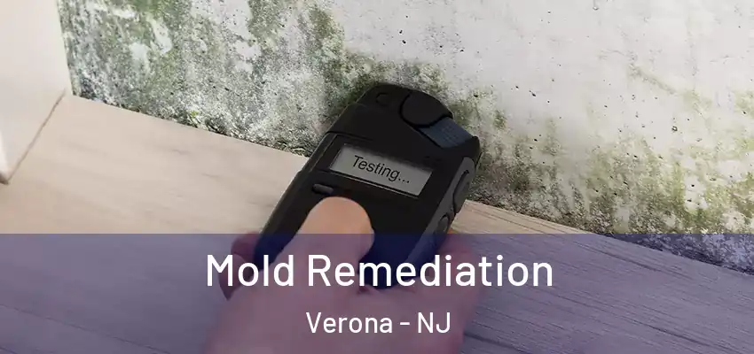  Mold Remediation Verona - NJ