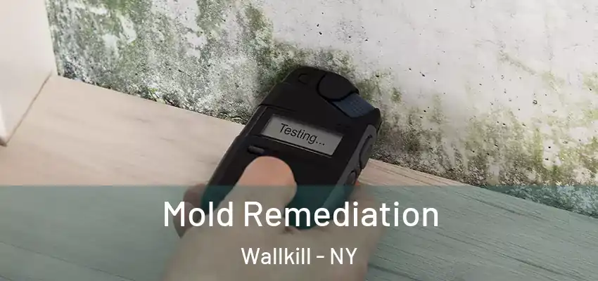Mold Remediation Wallkill - NY