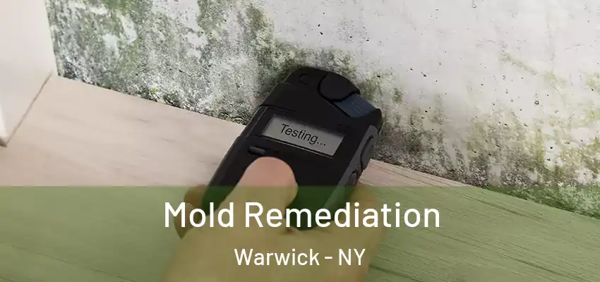 Mold Remediation Warwick - NY
