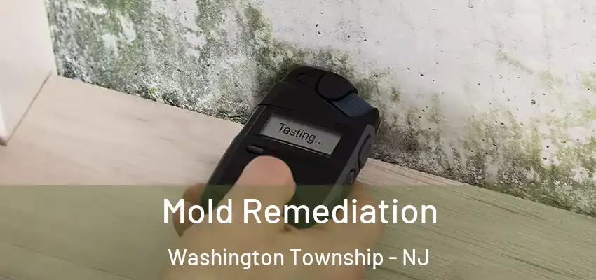 Mold Remediation Washington Township - NJ
