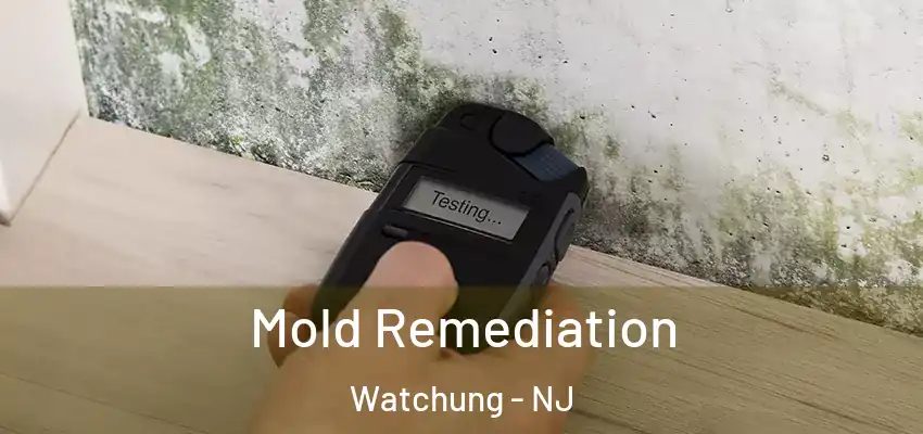 Mold Remediation Watchung - NJ