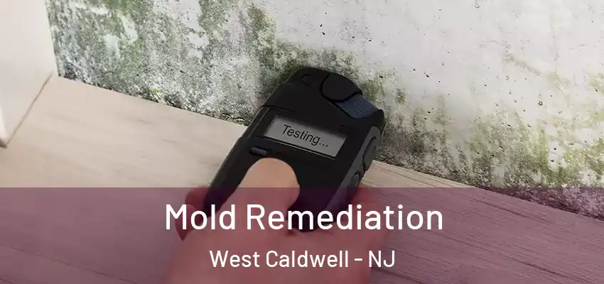 Mold Remediation West Caldwell - NJ