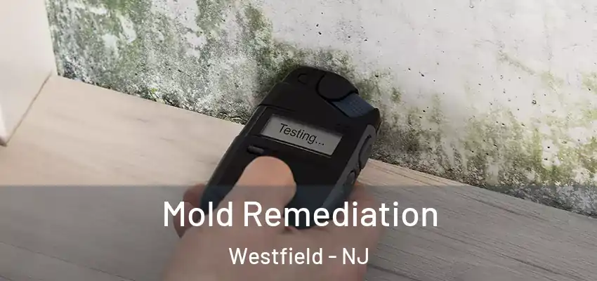 Mold Remediation Westfield - NJ
