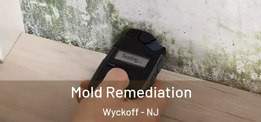 Mold Remediation Wyckoff - NJ