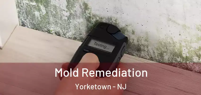 Mold Remediation Yorketown - NJ