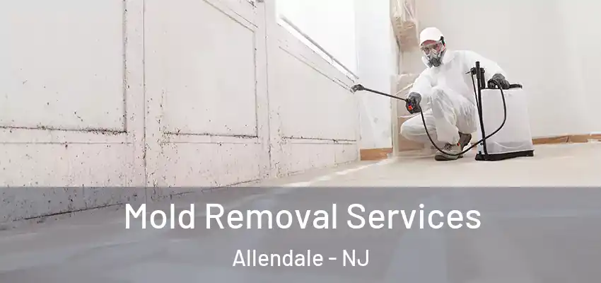  Mold Removal Services Allendale - NJ