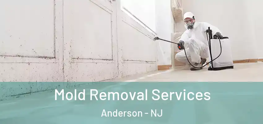  Mold Removal Services Anderson - NJ