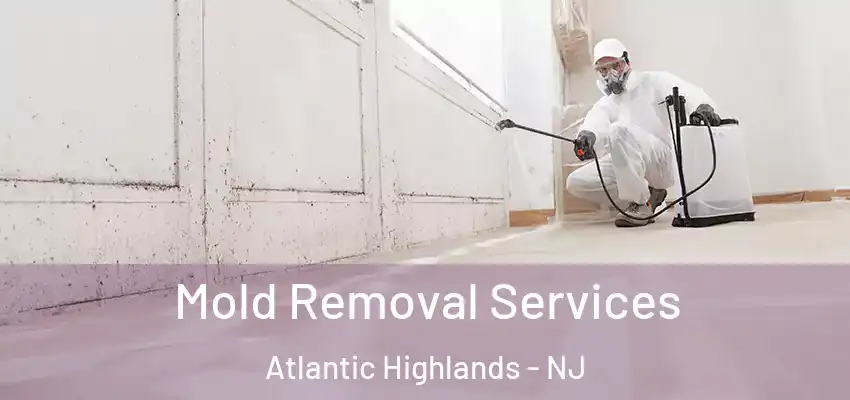 Mold Removal Services Atlantic Highlands - NJ