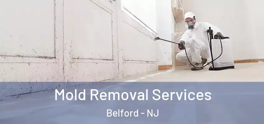  Mold Removal Services Belford - NJ