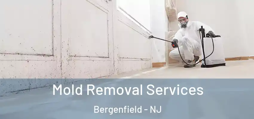 Mold Removal Services Bergenfield - NJ