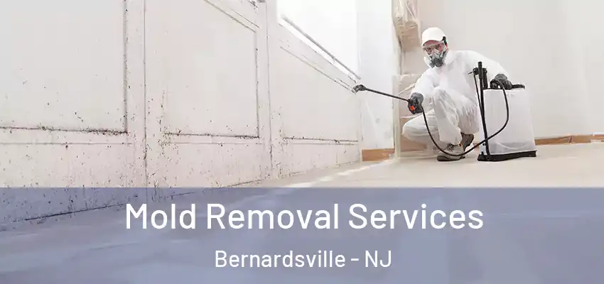Mold Removal Services Bernardsville - NJ