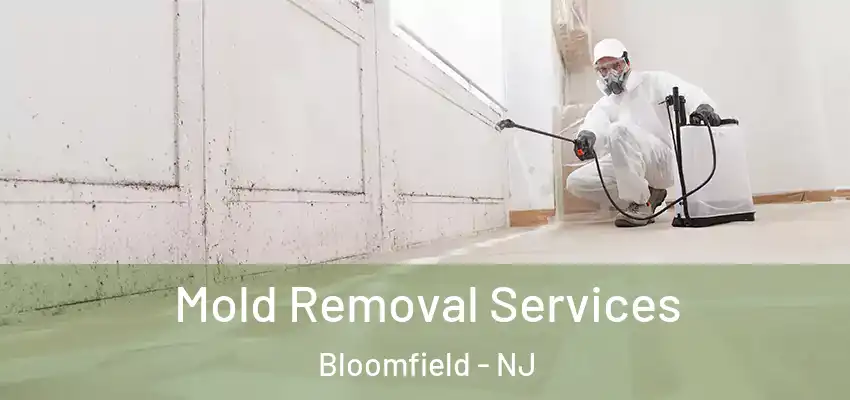 Mold Removal Services Bloomfield - NJ