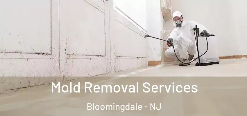Mold Removal Services Bloomingdale - NJ