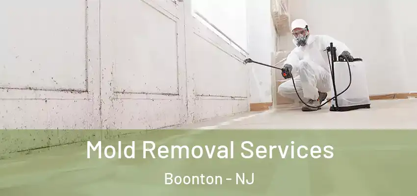 Mold Removal Services Boonton - NJ