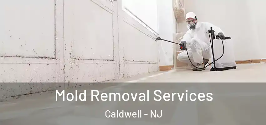  Mold Removal Services Caldwell - NJ